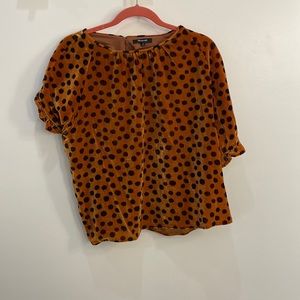 Madewell Velvet Leopard Blouse